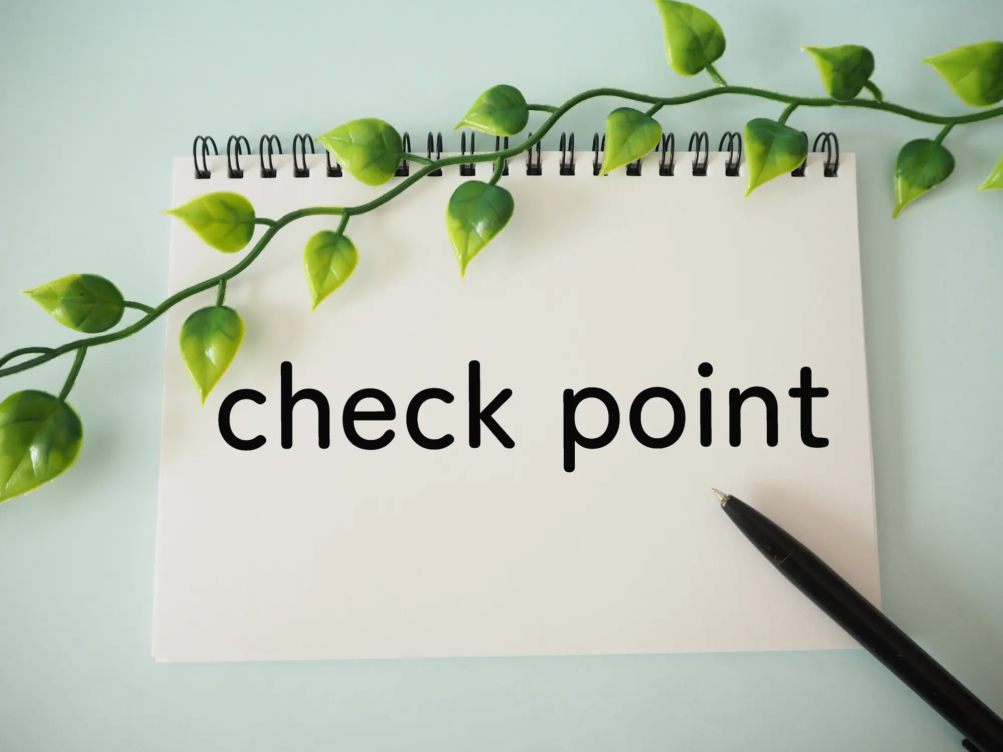 おしゃれな外構を実現するためのポイント・注意点